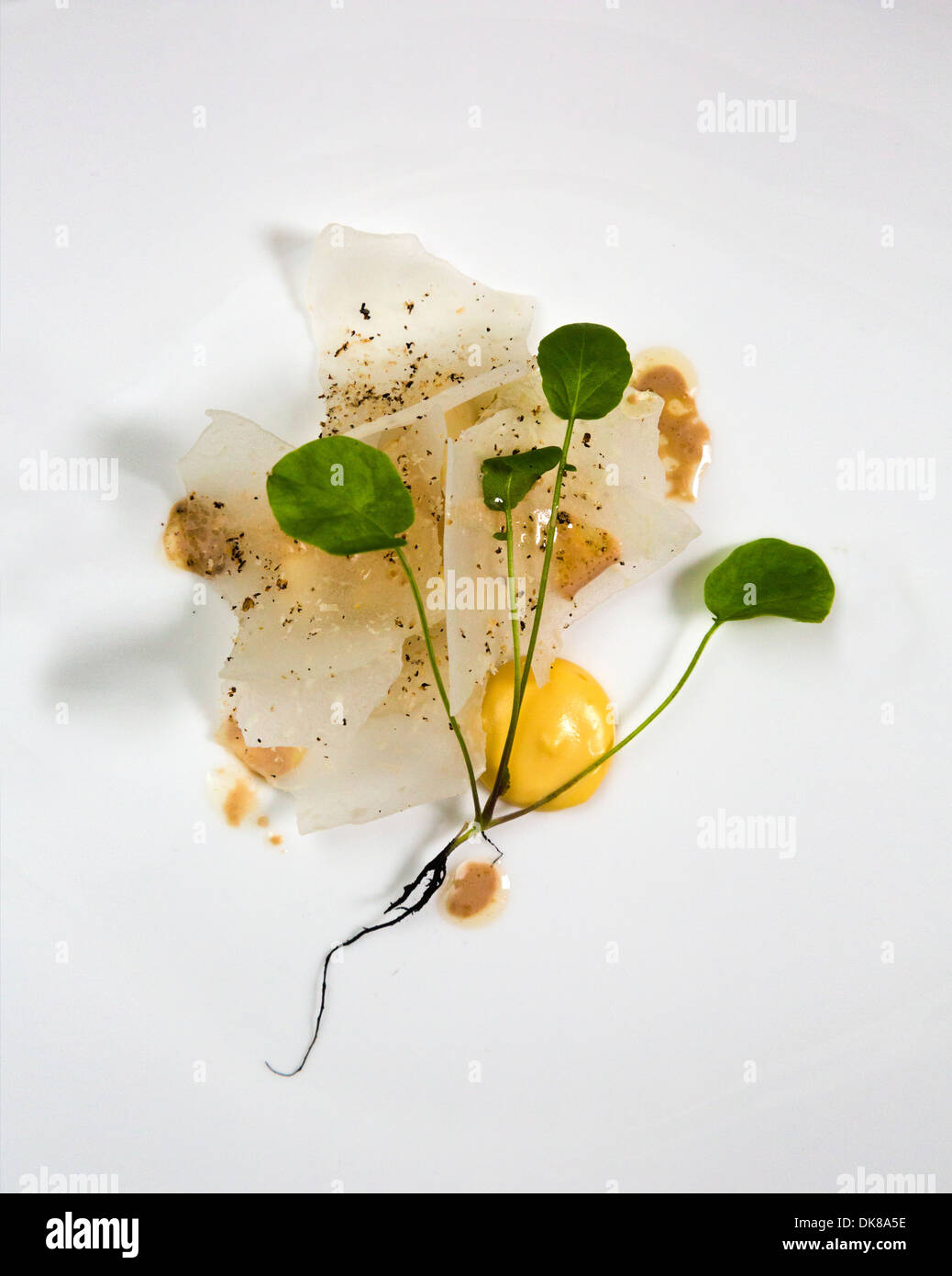 Halibut - Gooseberries, kohlrabi, browned butter & bitter hazelnut milk at AOC Restaurant, Copenhagen, Denmark. Stock Photo