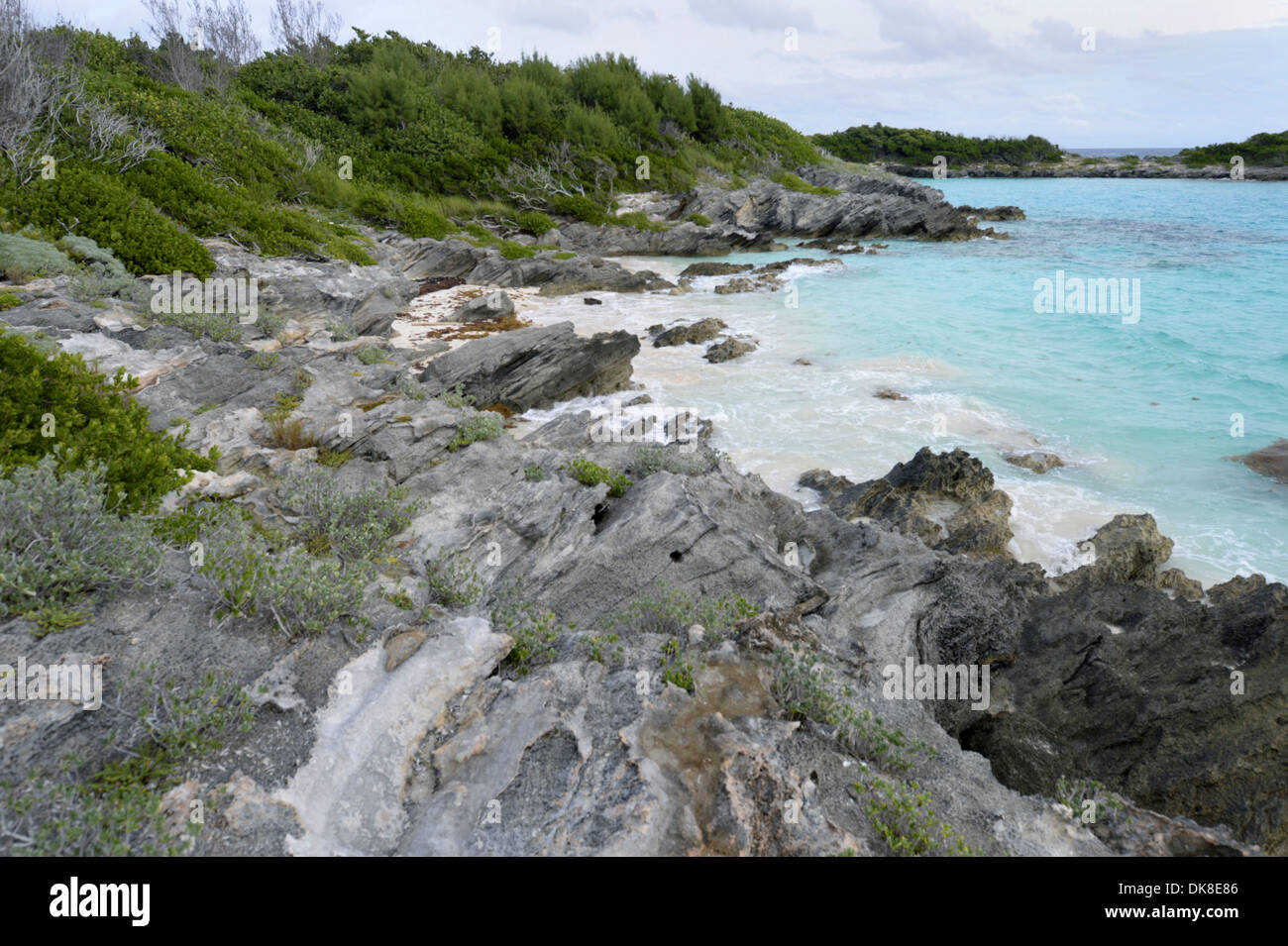 Nonsuch Island, Bermuda - the centre of the Bermuda Pertrel breeding programme Stock Photo