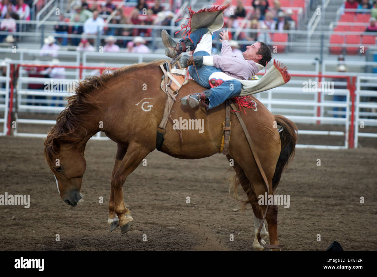 July 21, 2011 - Salinas, California, U.S - Bareback rider Eric Swenson ...
