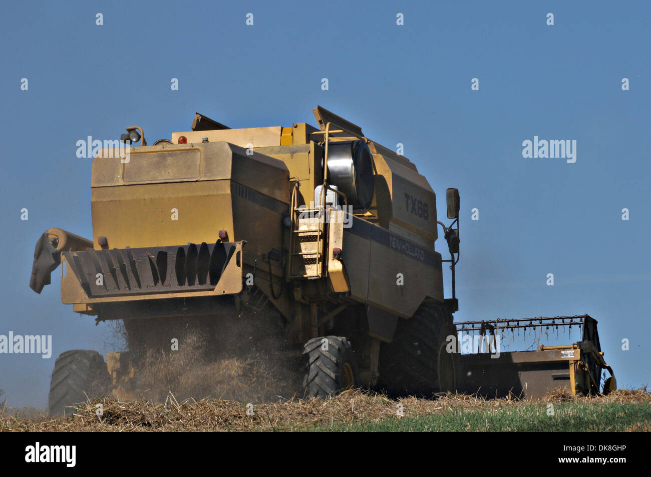 Combine Harvester harvesting Stock Photo Alamy
