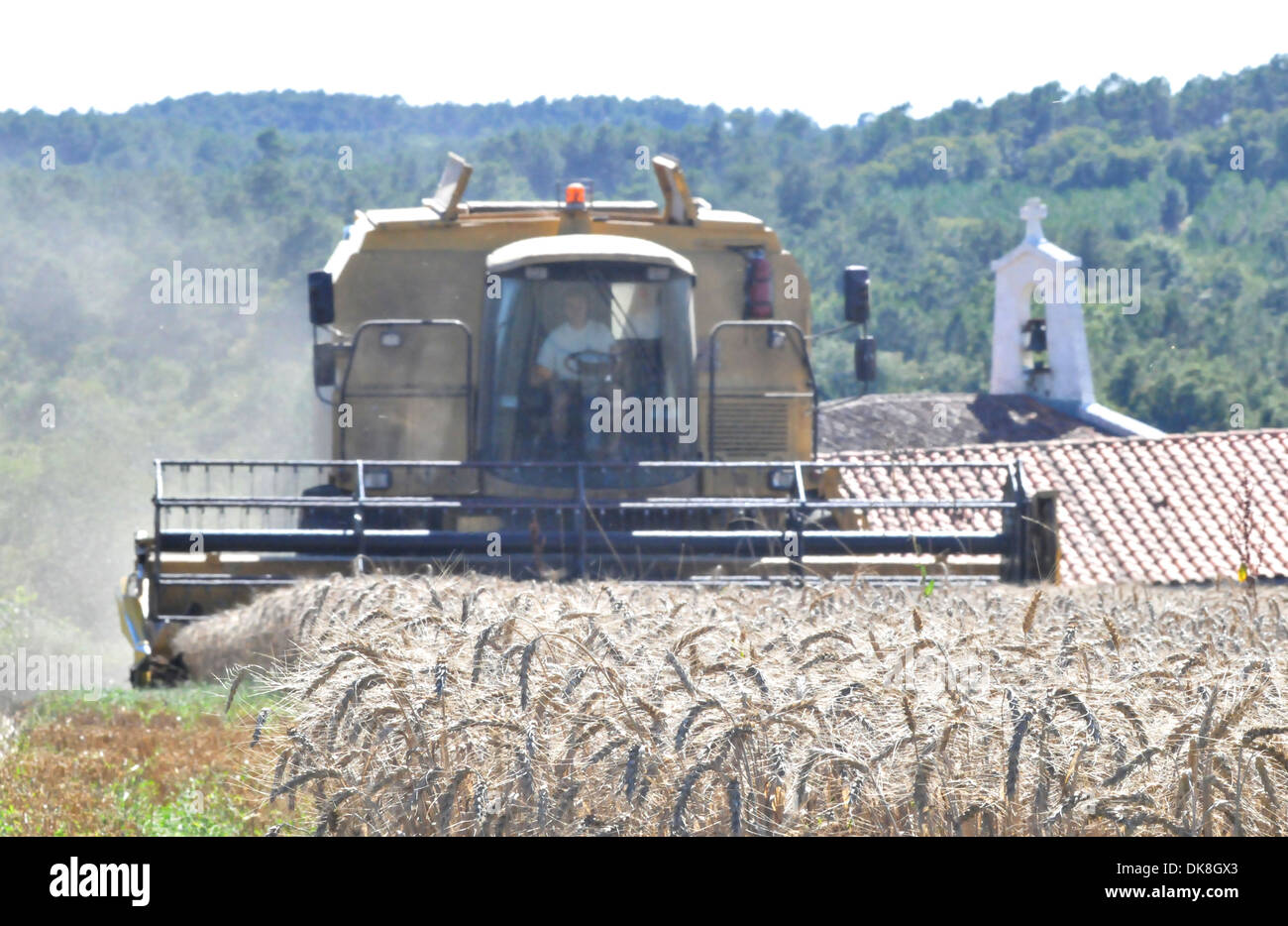 Combine Harvester harvesting Stock Photo Alamy