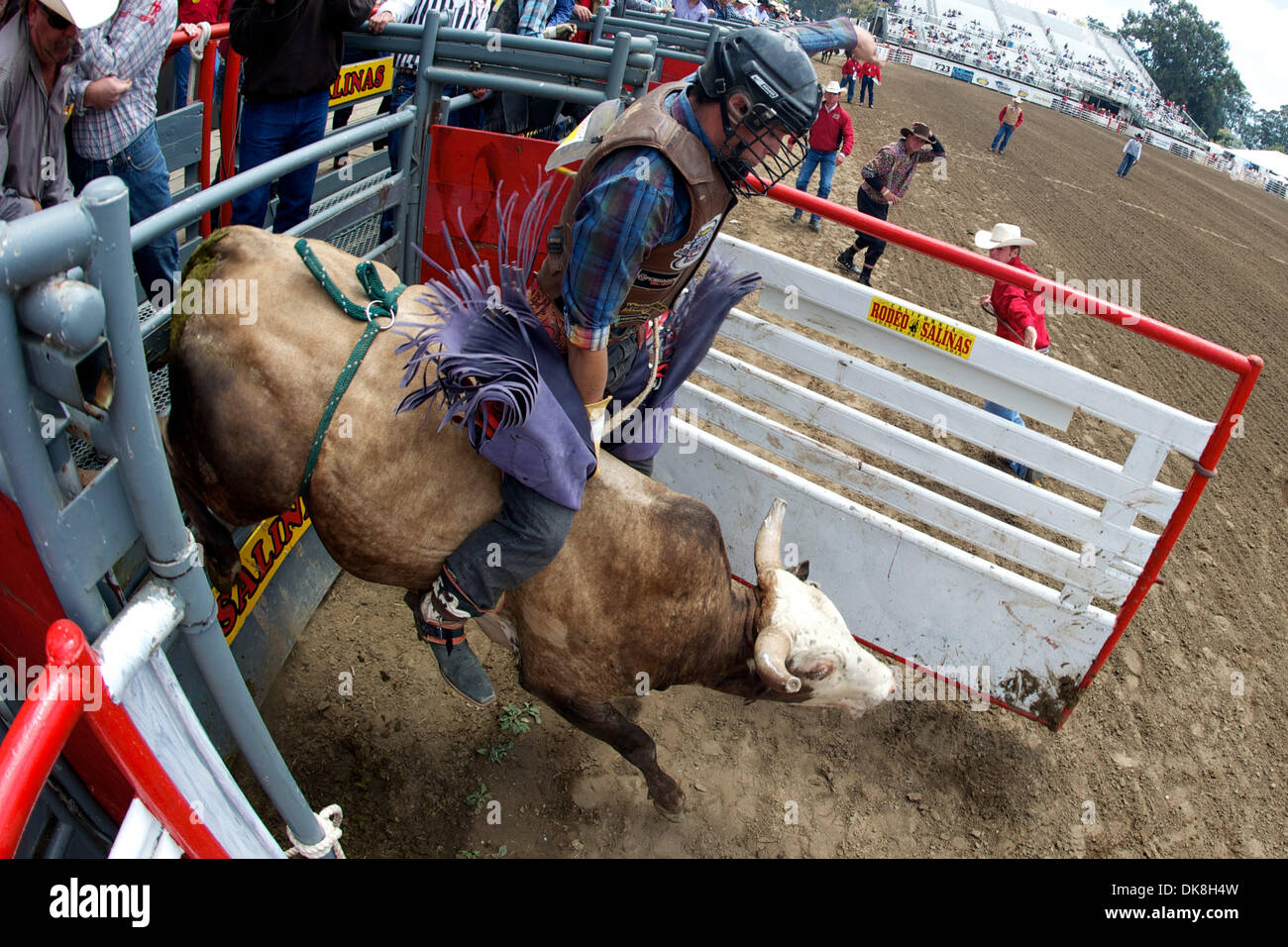 July 23, 2011 Salinas, California, U.S Bull rider Kolt Donaldson of