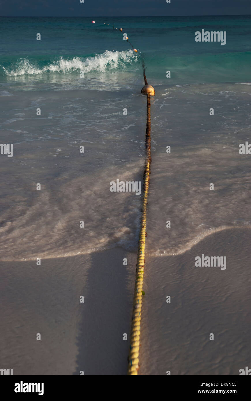 Safety rope with buoys floating in the ocean; Tulum, Mexico Stock Photo