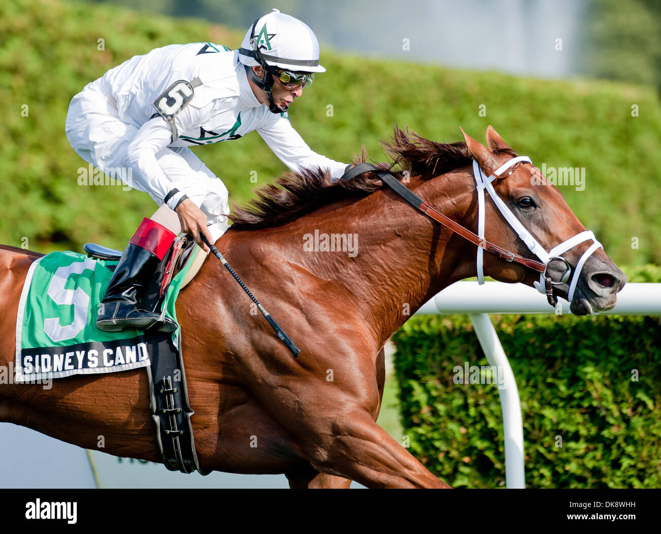 John Ruffian Ruffian new york hi-res stock photography and images - Alamy