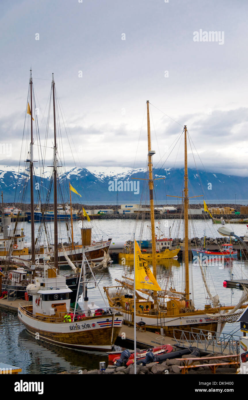 Whale Watching Boats, Husavik, Iceland Stock Photo - Alamy