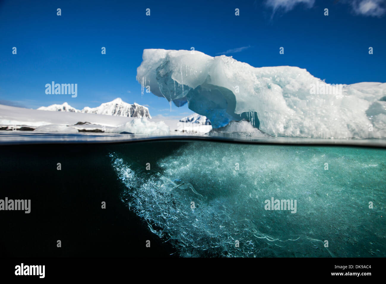 Antarctica Underwater View Of Melting Iceberg Floating Near Stock Photo Alamy