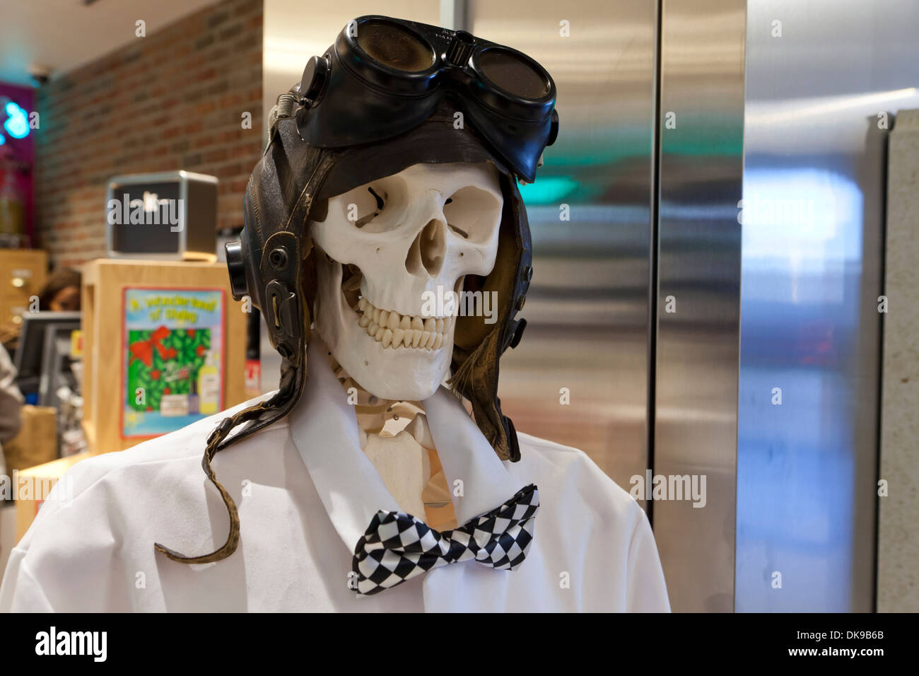 Skeleton wearing vintage leather aviator helmet and goggles Stock Photo
