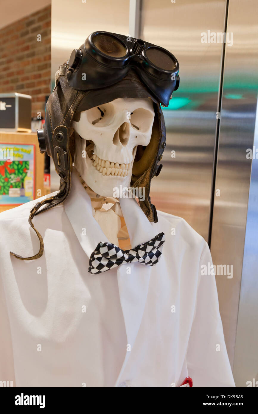 Skeleton wearing vintage leather aviator helmet and goggles Stock Photo