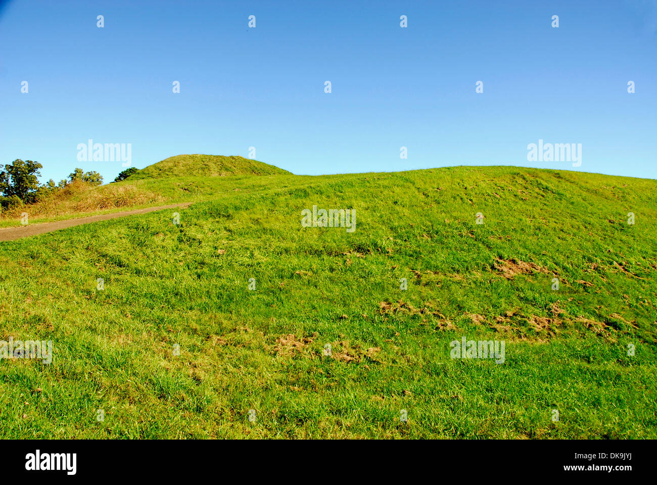 Cypress swamp natchez trace mississippi hires stock photography and