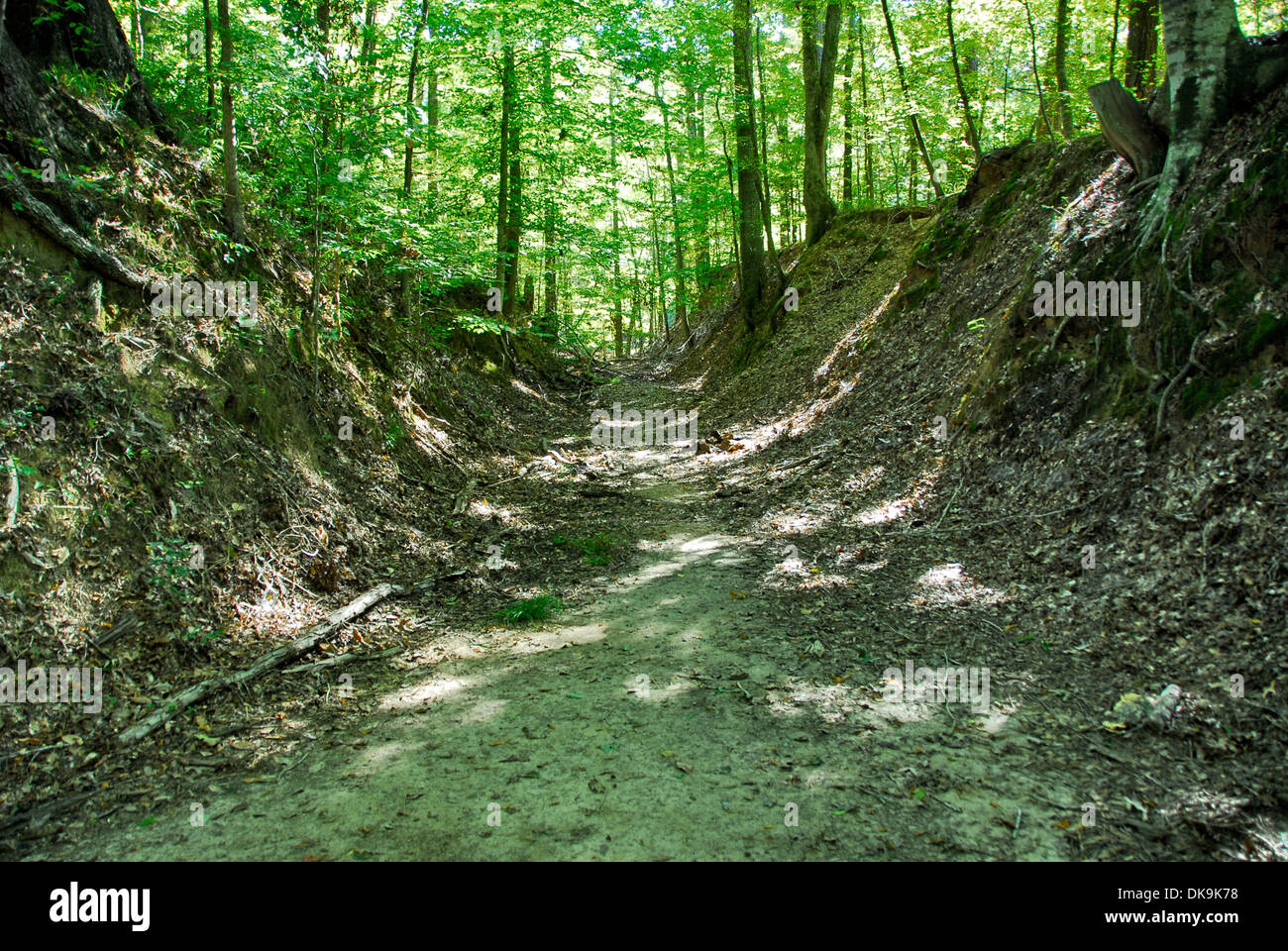 The historic Sunken Trace on the Natchez Trace Parkway, Mississippi ...