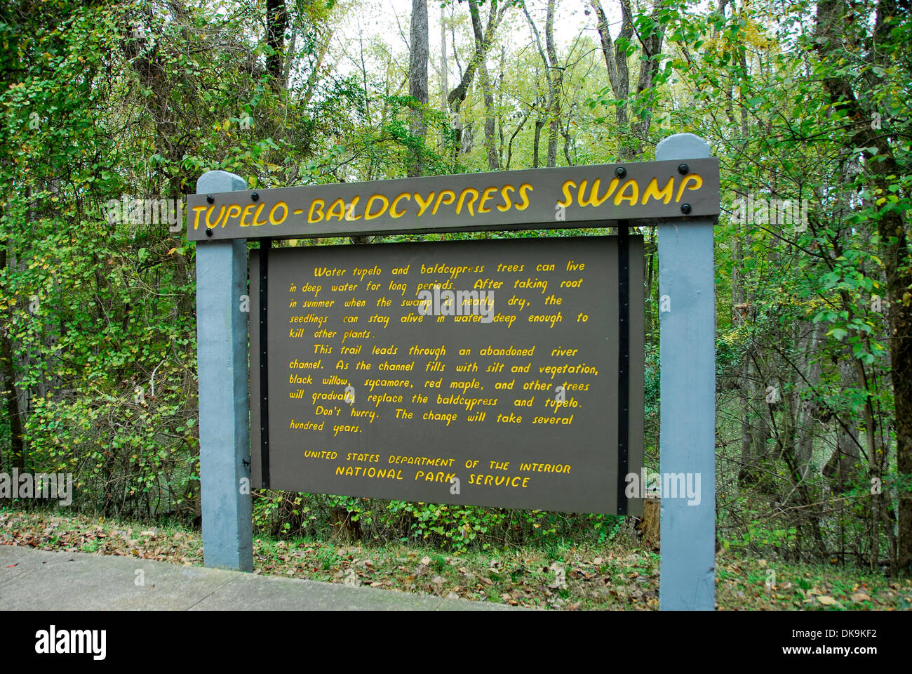 tupelo-bald-cypress-swamp-on-the-natchez-trace-parkway-mississippi
