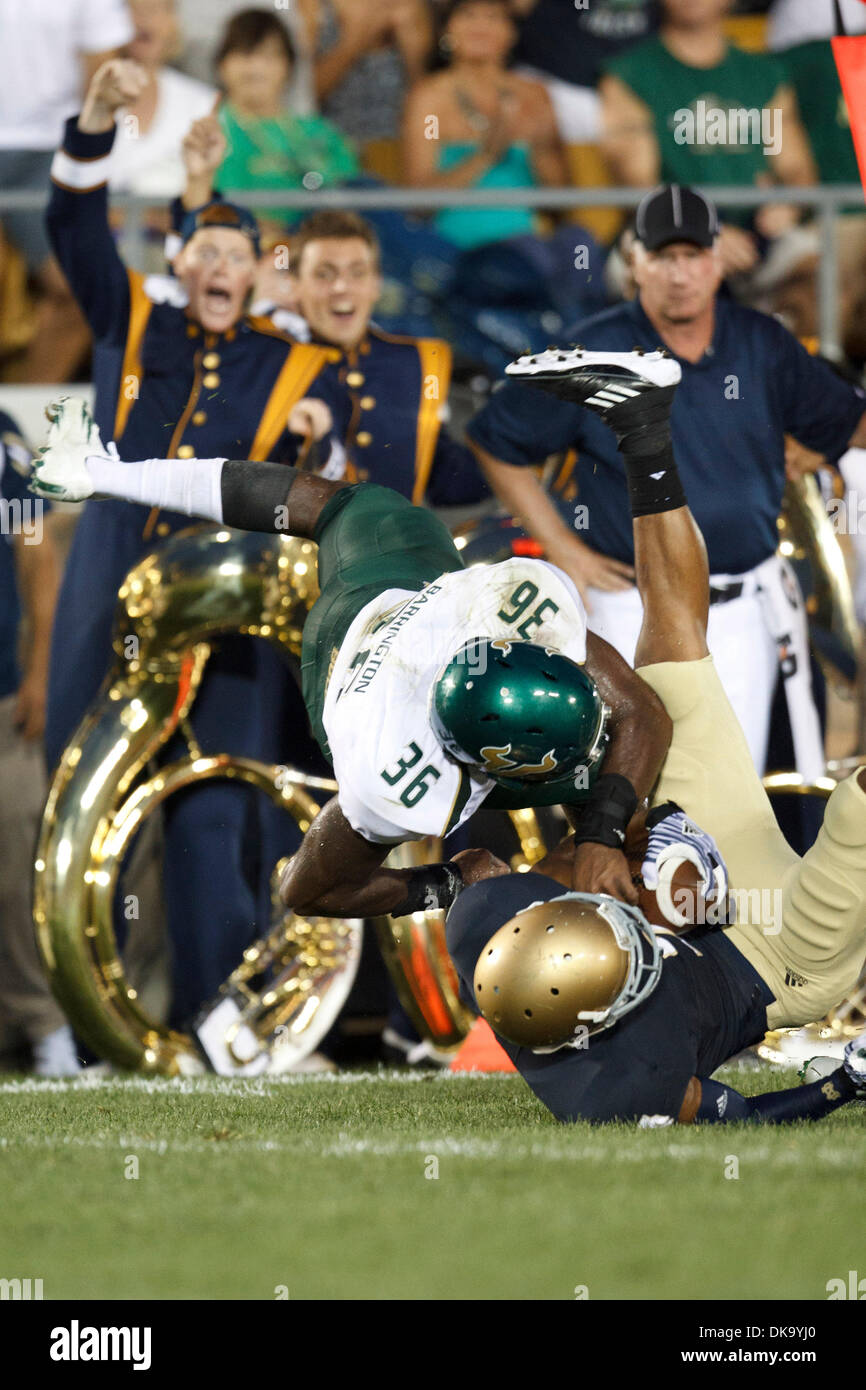 sam barrington jersey