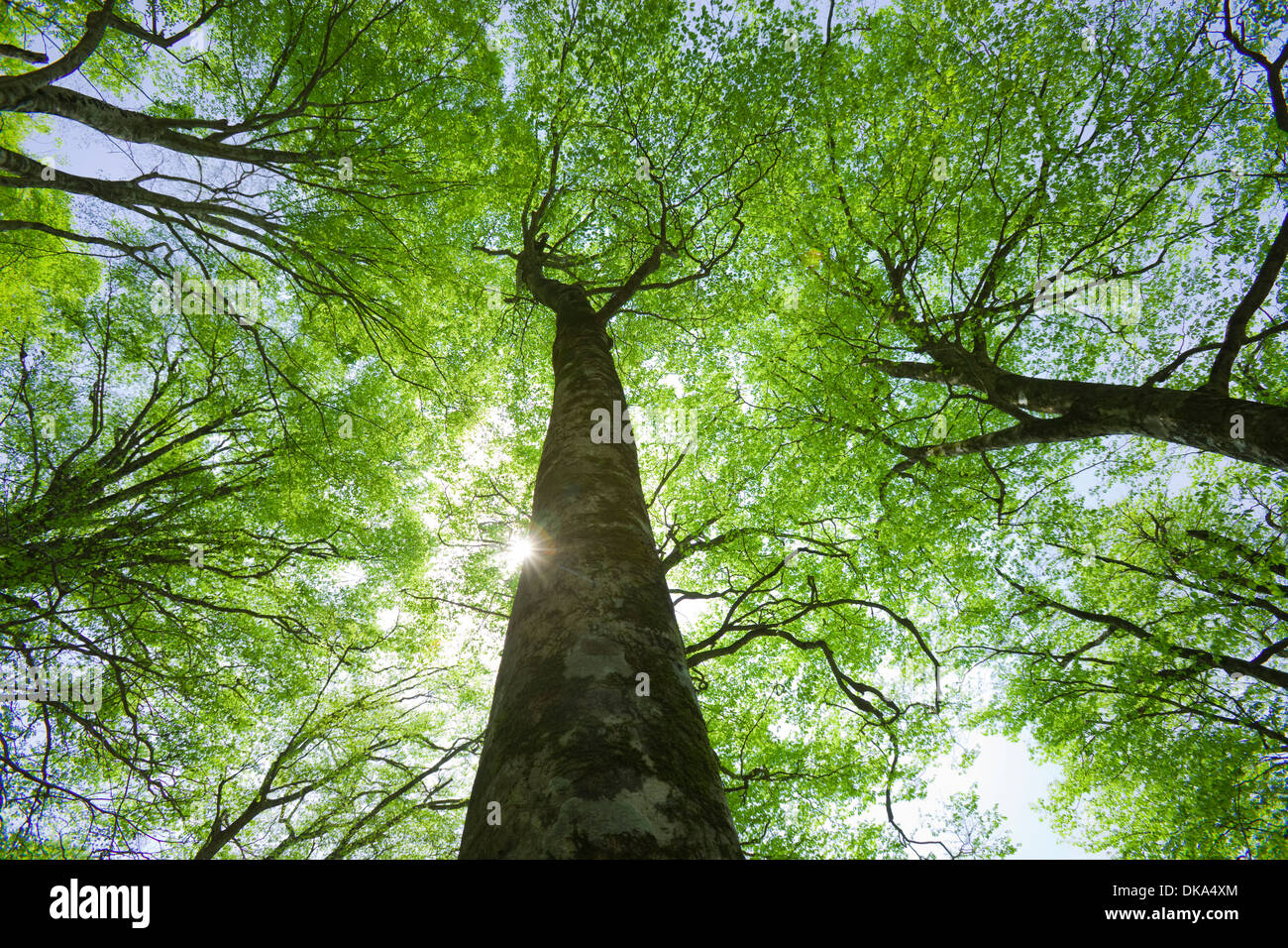 Shiga Prefecture, Japan Stock Photo