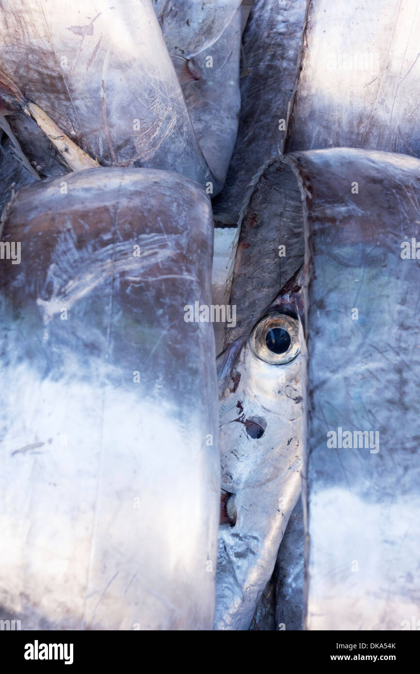 Silver Scabbard Fish In The Fish Market Catania Sicily Italy Stock Photo Alamy