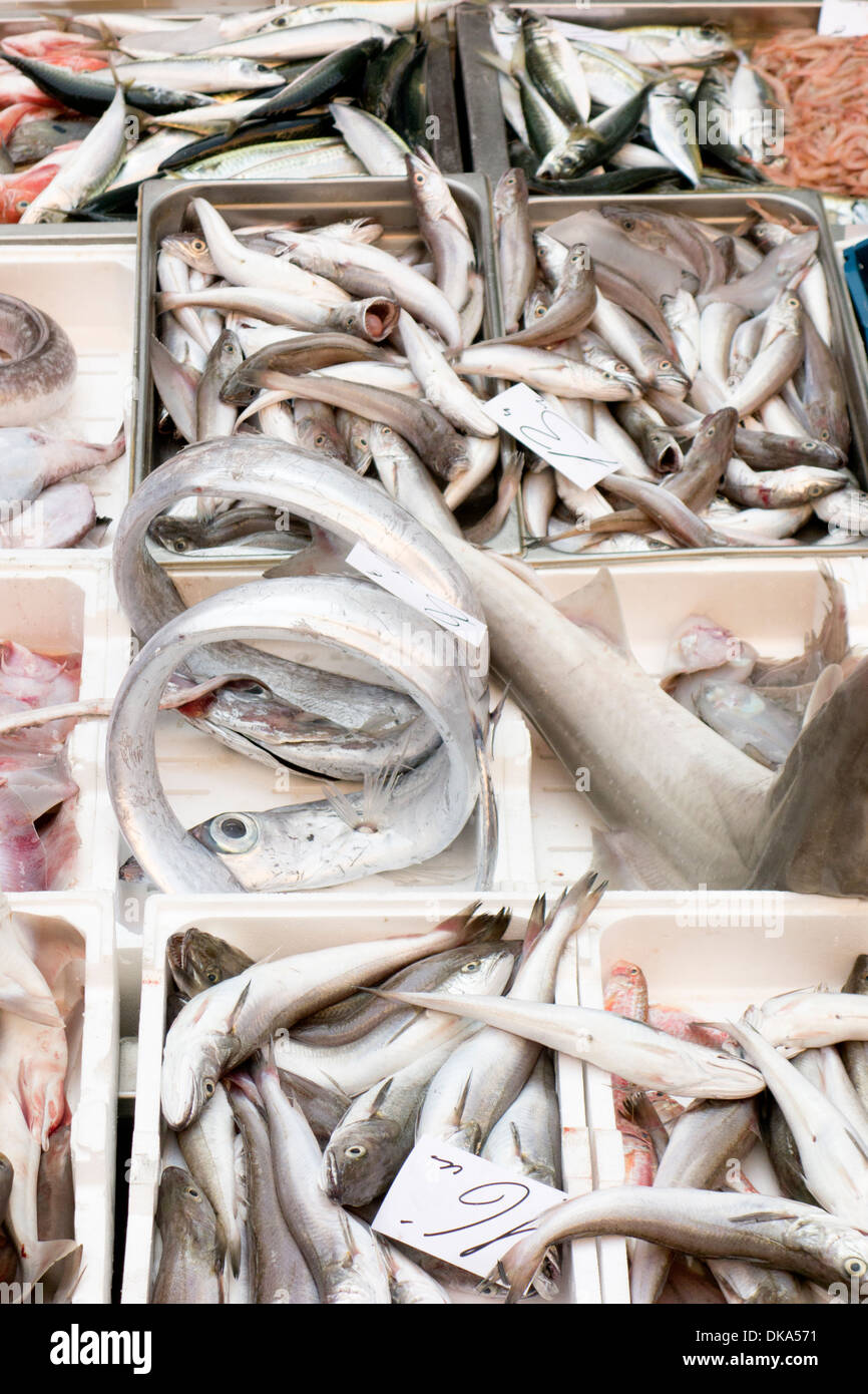 Fresh fish for sale in the fish market, Catania, Sicily, Italy Stock Photo