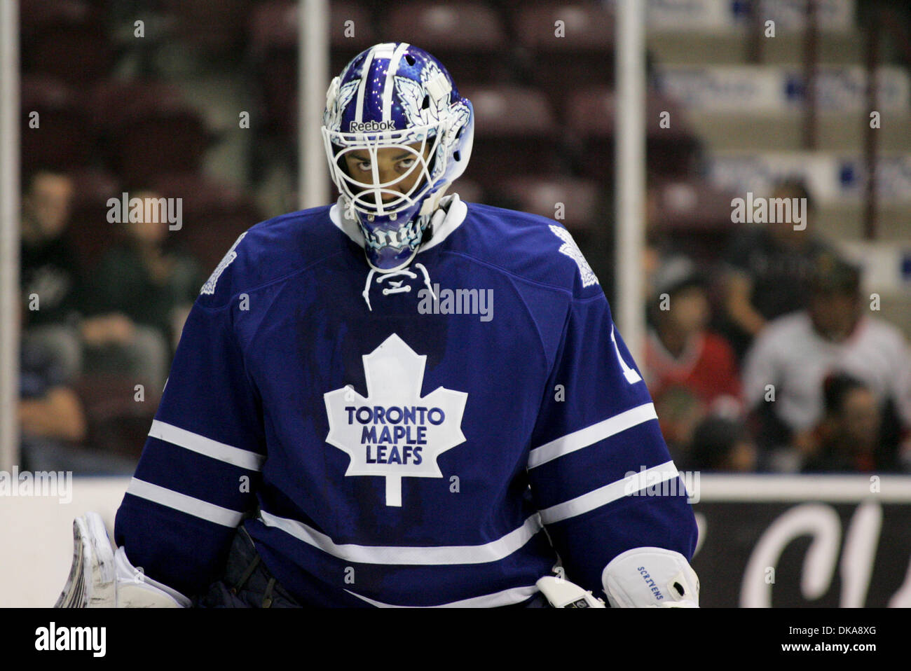 Reebok NHL Premium Maple Leafs Hockey Jersey