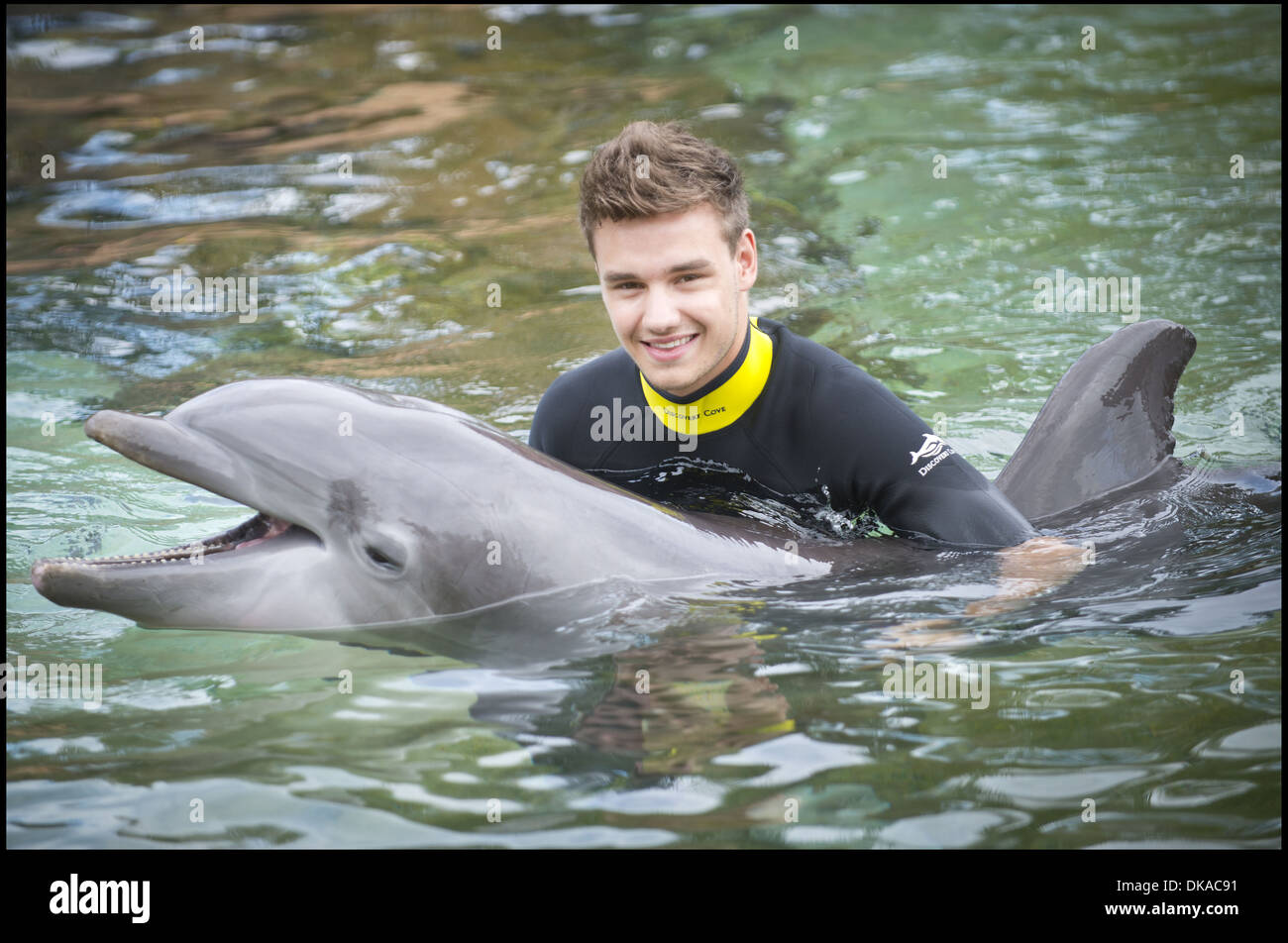Liam Payne had a whale of a time at SeaWorld Orlando when he received a
