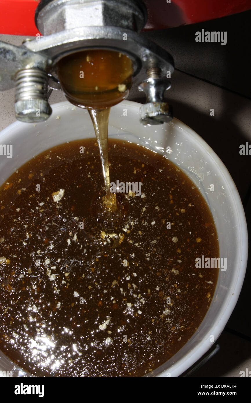 During the extracting, the honey runs in stored vessels. Photo Klaus