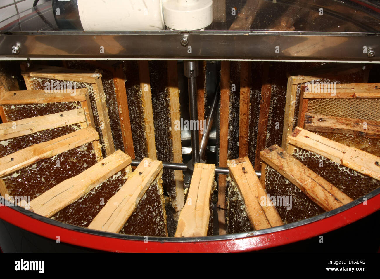 This radial honey extractor hold 20 honeycombs. With this system, the honey is removed from the combs by the centrifugal force and the vacuum in the extractor. Photo: Klaus Nowottnick Date: June 16, 2011 Stock Photo