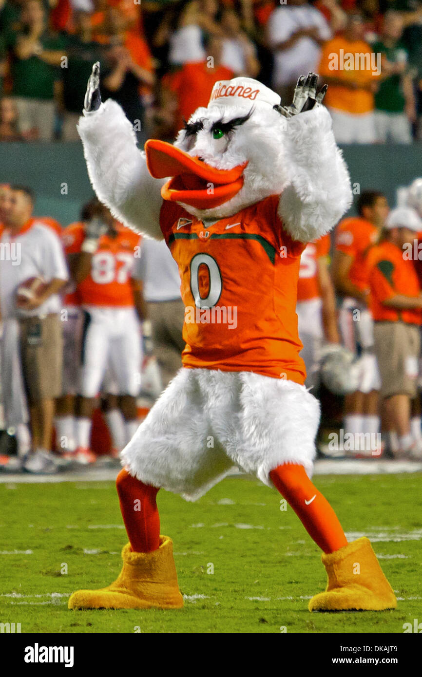 South carolina gamecocks football tickets the gamecocks has been delighting its fans with exciting football balls ever since the team began playing in 1892. Miami Hurricanes Mascot : Sept 17 2011 Miami Florida U S Miami Hurricanes Mascot Sebastian The Ibis On The Field After A Miami Touchdown In The First Quarter Of The Game Between Ohio State And
