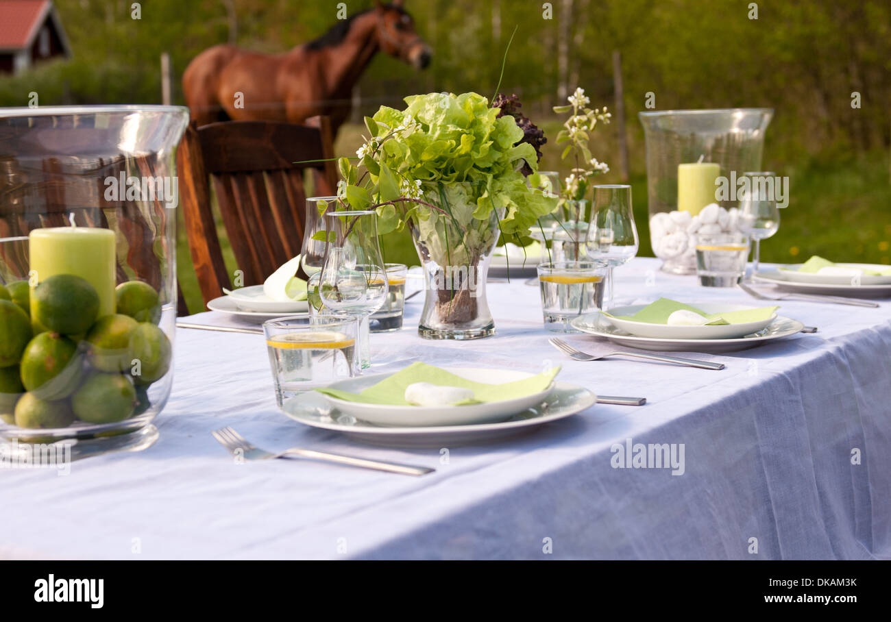 Napkin Party Plates Wine alfresco backyard brunch celebrate celebration