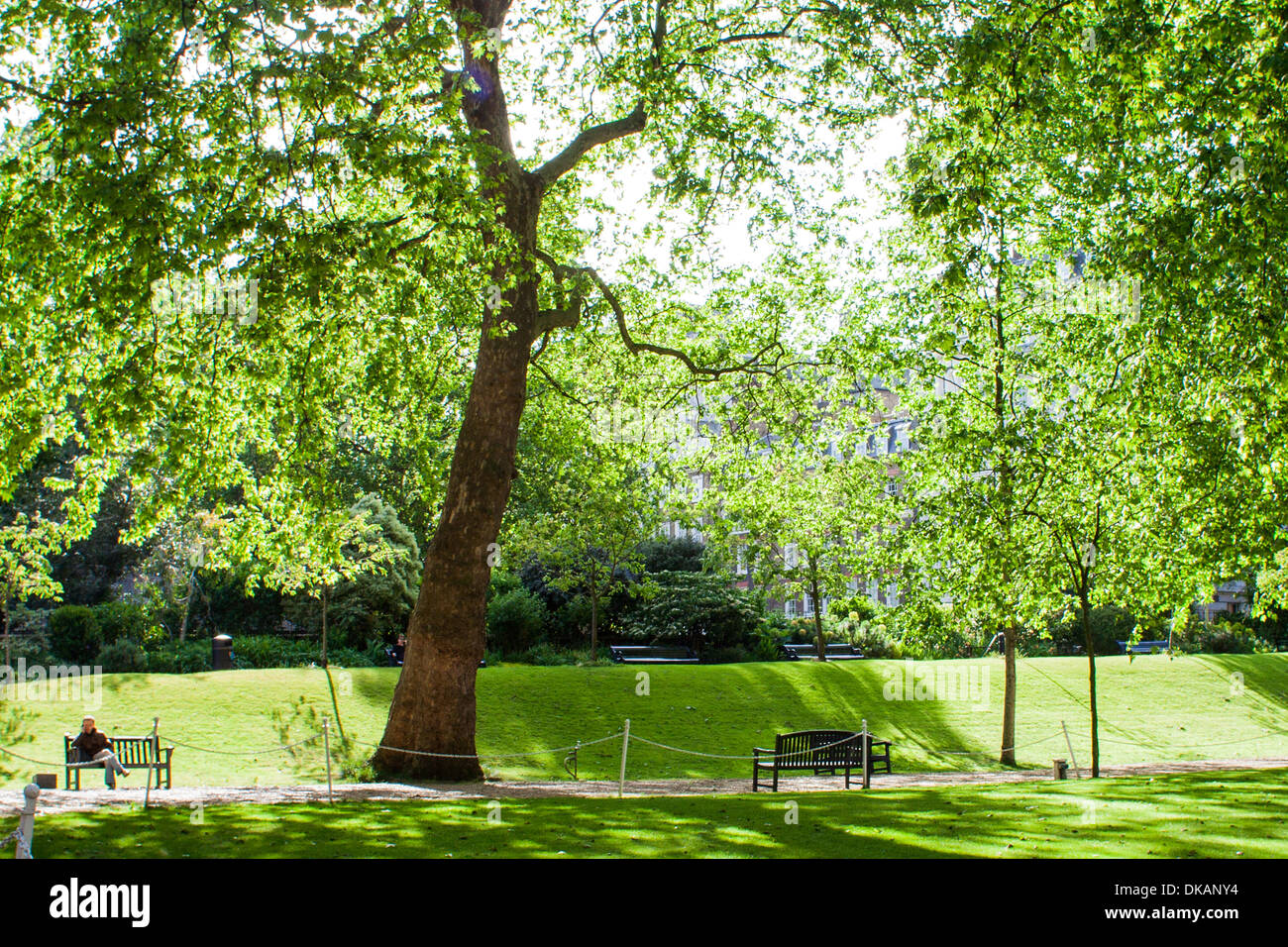 Greys inn london hi-res stock photography and images - Alamy