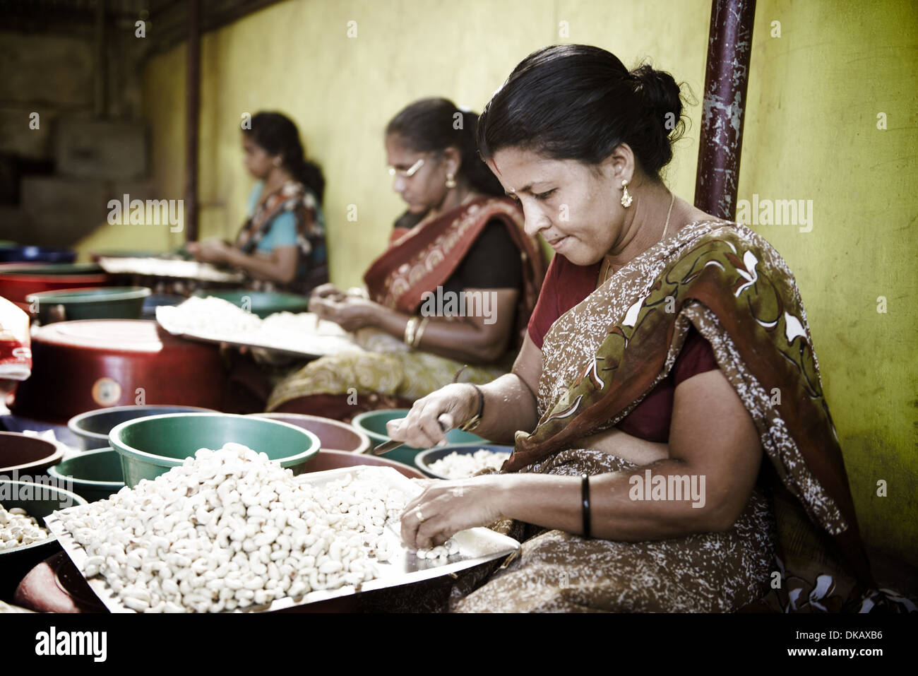 Cashew nuts factory hires stock photography and images Alamy