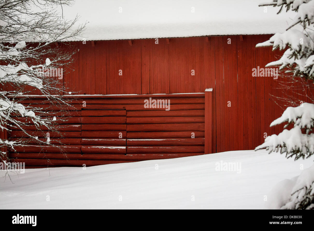 Red wooden barn wall, in colorful contrast with the white snow on the roof and on the ground. Stock Photo