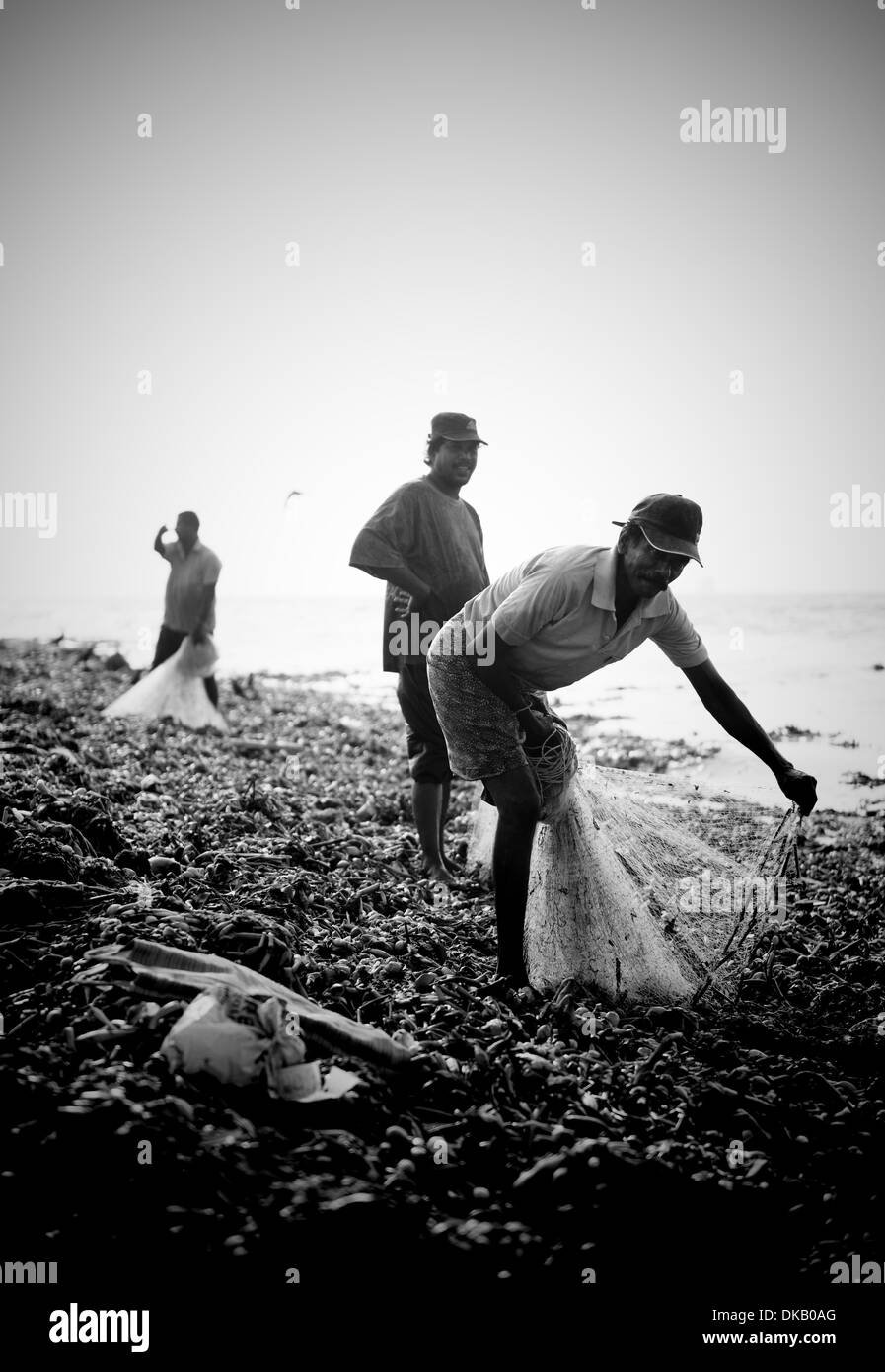 Fishing on the beach, Fort Cochin, India Stock Photo