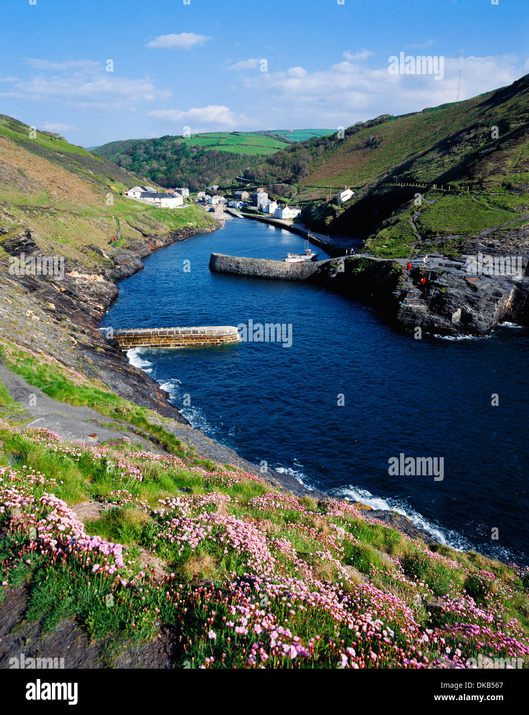 Boscastle Cornwall England Britain UK Stock Photo Alamy