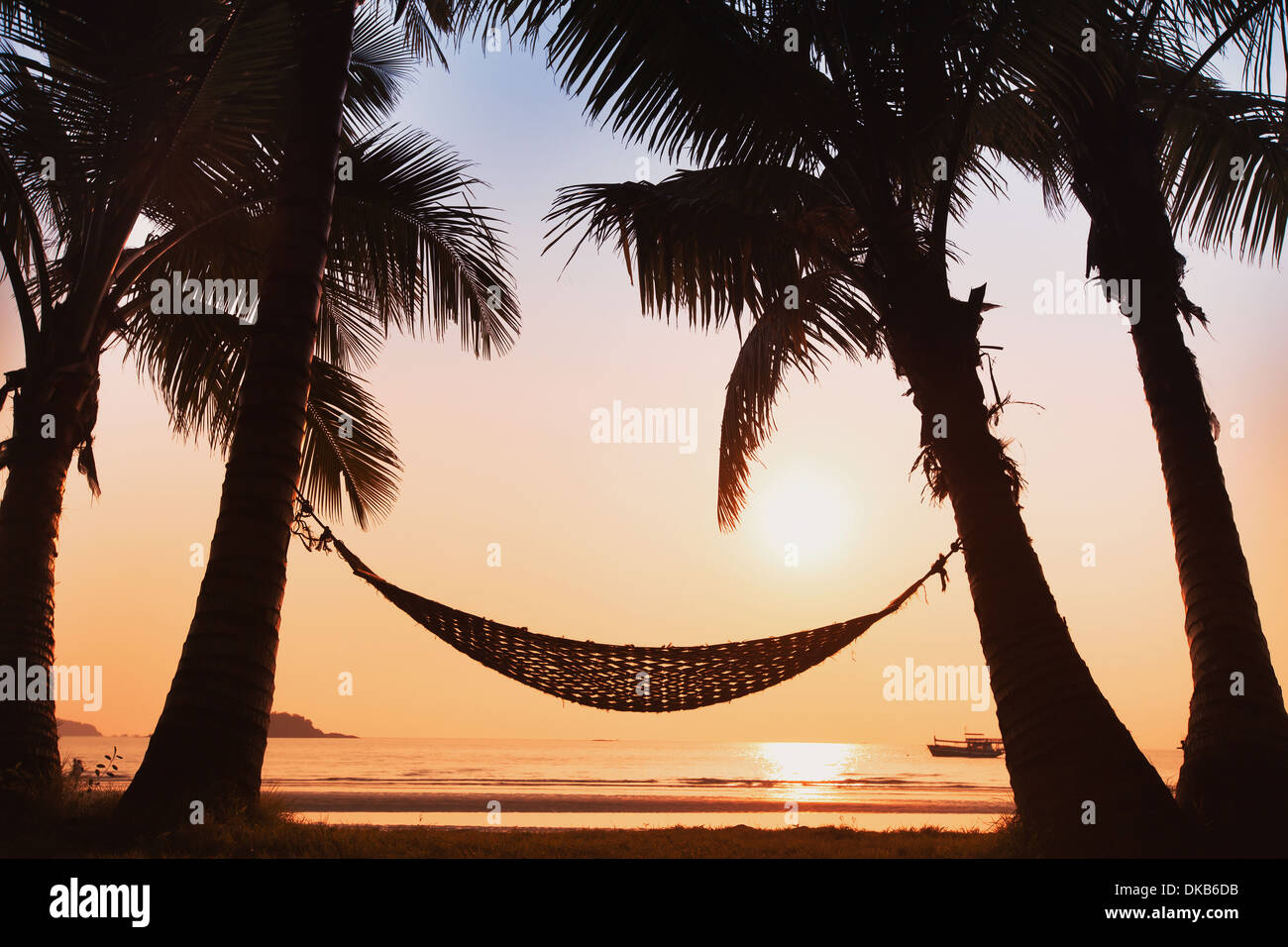 hammock and palm trees on the beach Stock Photo Alamy