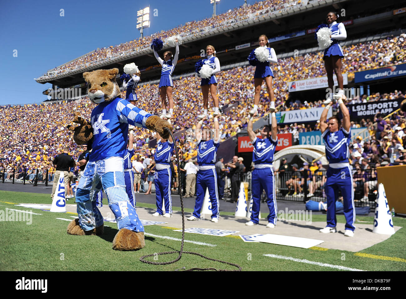 kentucky wildcats mascot and cheerleaders lead cheers for their