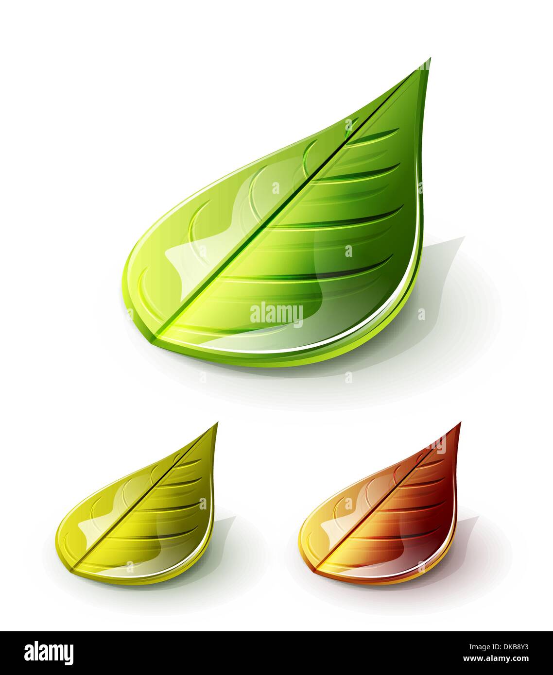 Set of glossy vector leaves Stock Vector