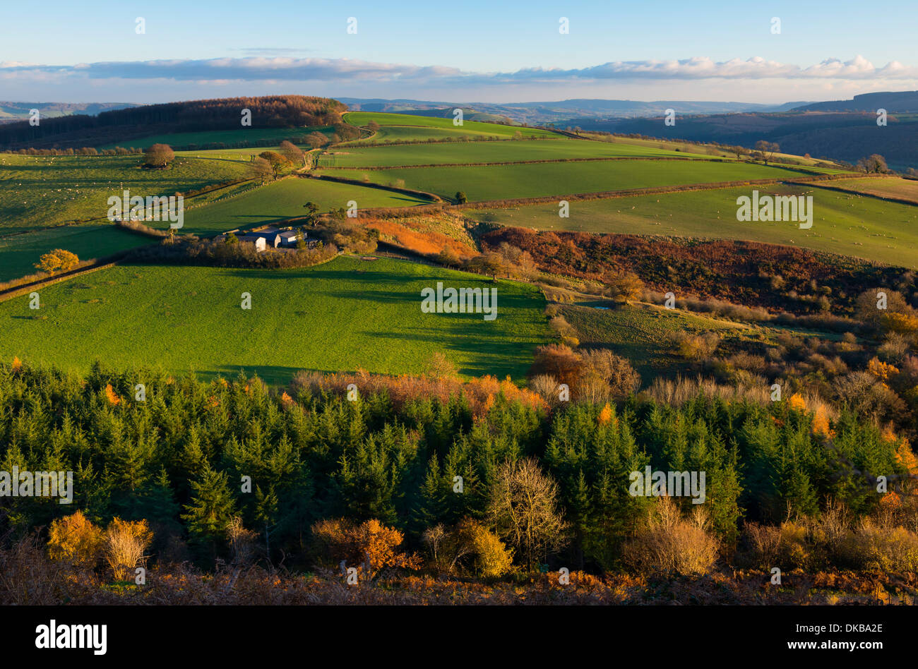 South Shropshire countryside from Bury Ditches iron age hill fort, England Stock Photo