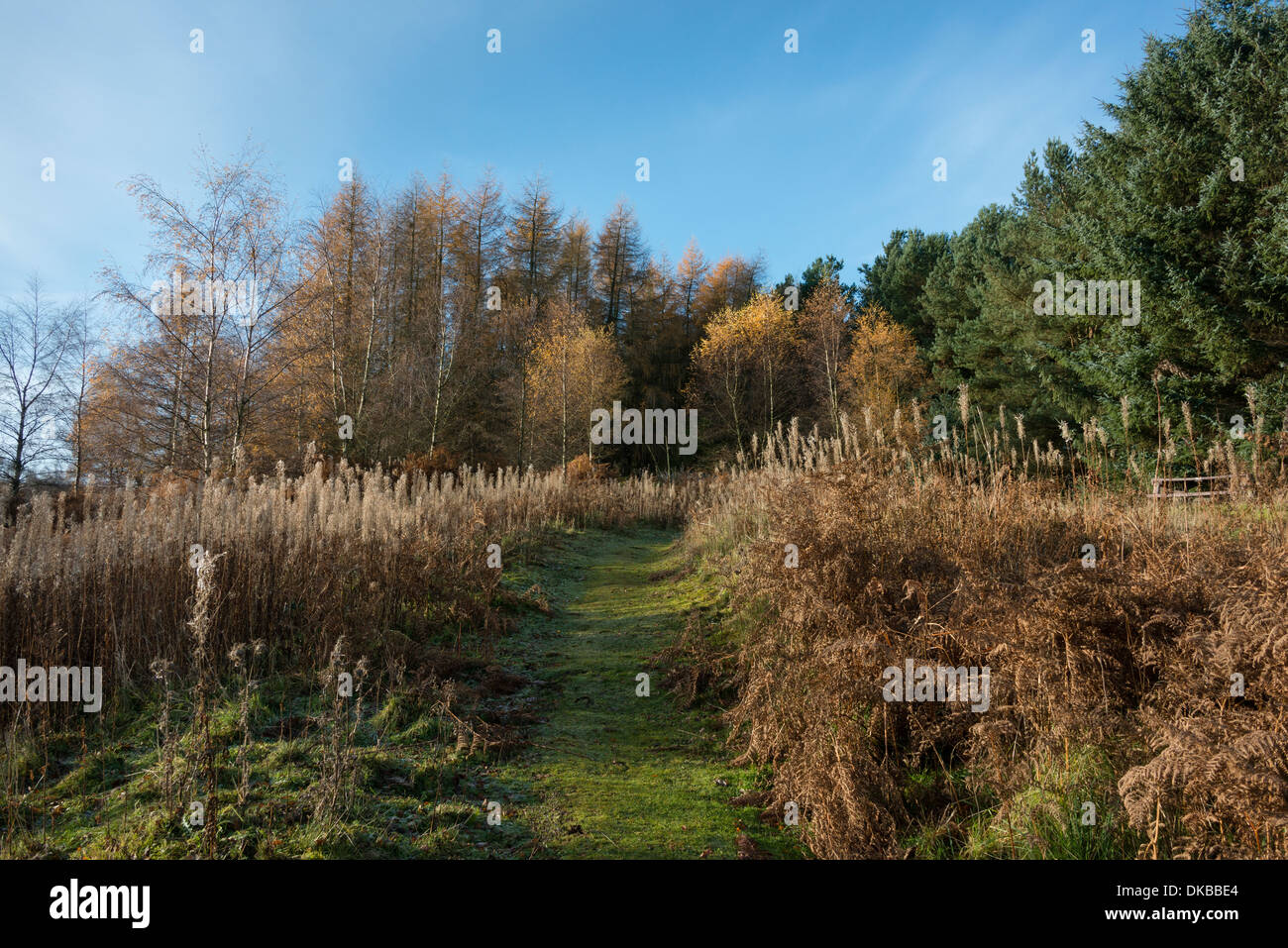 Pow Hill Country Park Stock Photo