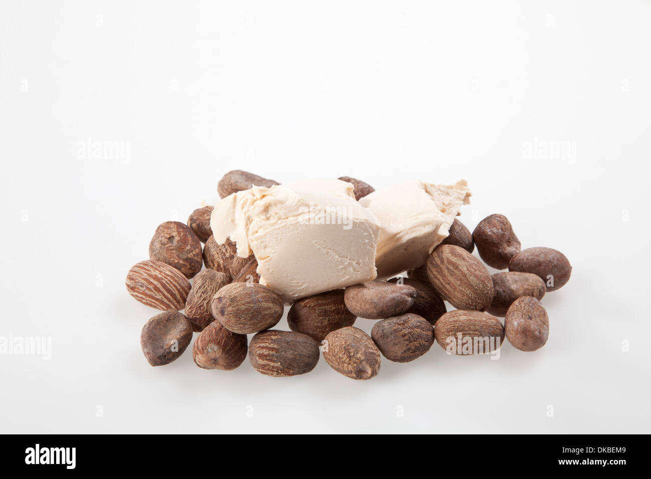 Shea Nuts with shea nut butter cream. Stock Photo