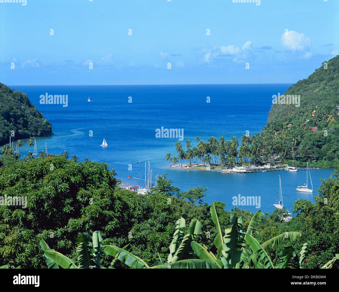 Hurricane Hole, Marigot Bay, St Lucia, Caribbean, West Indies Stock