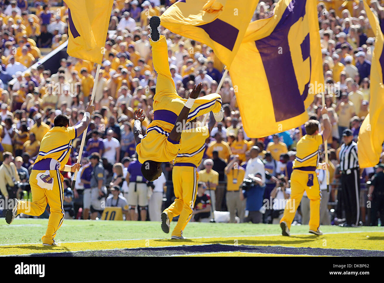 An LSU Tigers cheerleader celebrates a score with a backflip in the Div. 1 NCAA football game between the LSU Tigers and the Florida Gators at Tiger Stadium in Baton Rouge, La.  LSU won 41-11. (Credit Image: © Donald Page/Southcreek/ZUMAPRESS.com) Stock Photo