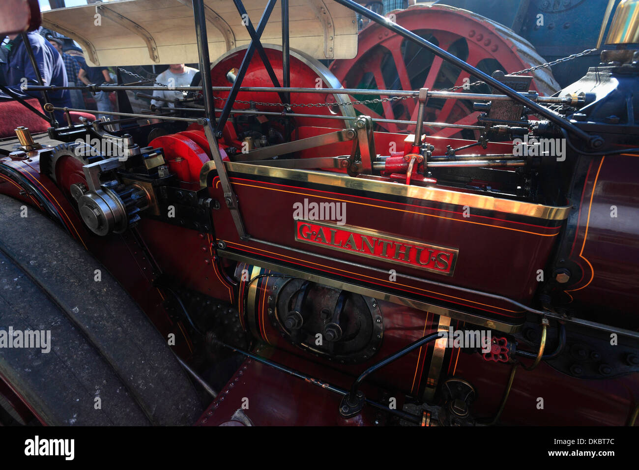 Machinery and moving parts on traction engine 'Galanthus' at a steam rally in Heacham, Norfolk, UK. Stock Photo