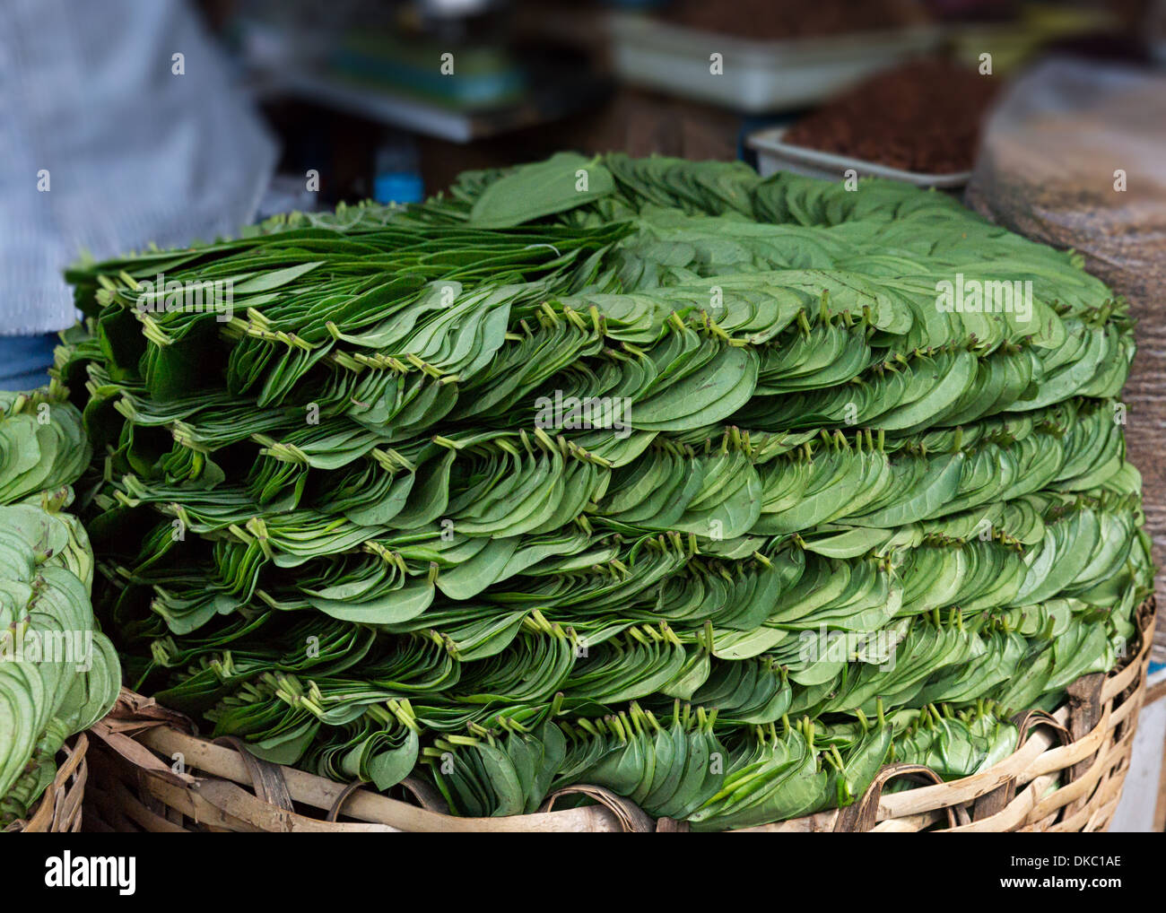 Stack of Betel leaves (Piper Betle) in old town Bangalore. Stock Photo