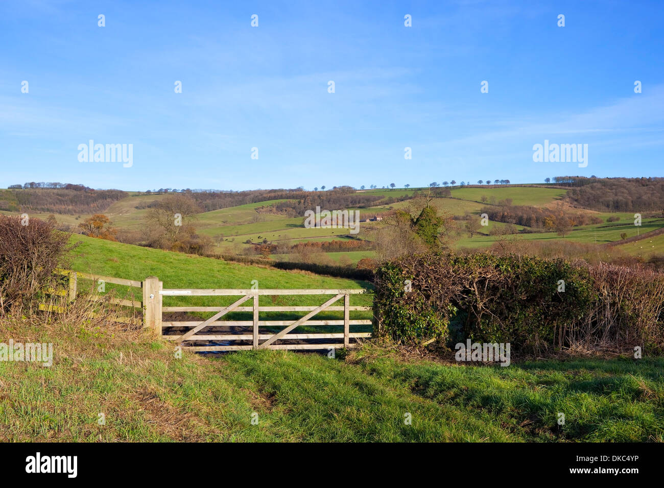 Traditional wooden field gates in the rolling landscape of the Yorkshire wolds, England, in Autumn. Stock Photo