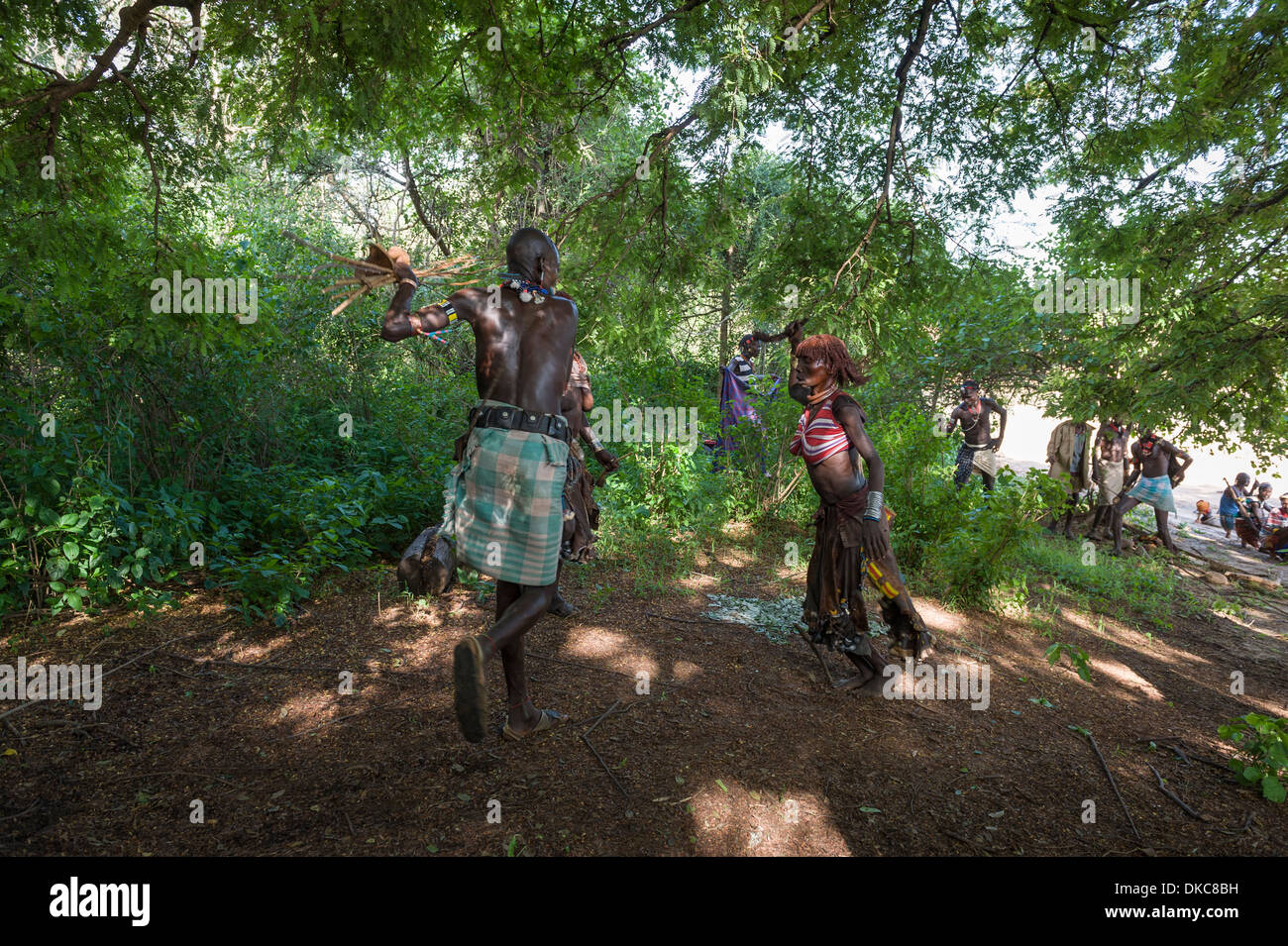 Before the bull jumping ceremony, the Maza whip the Hamer women who will defy them and show no fear or signs of pain . Hamer tribe, Omo valley, Ethiopia Stock Photo