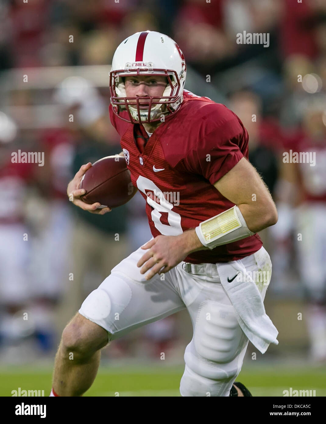 Palo Alto, CA, . 30th Nov, 2013. Stanford Cardinal quarterback Kevin Hogan (8) in action during the NCAA Football game between the Stanford Cardinal and the Notre Dame Fighting Irish at Stanford Stadium in Palo Alto, CA. Stanford defeated Notre Dame 27-20. Damon Tarver/Cal Sport Media/Alamy Live News Stock Photo