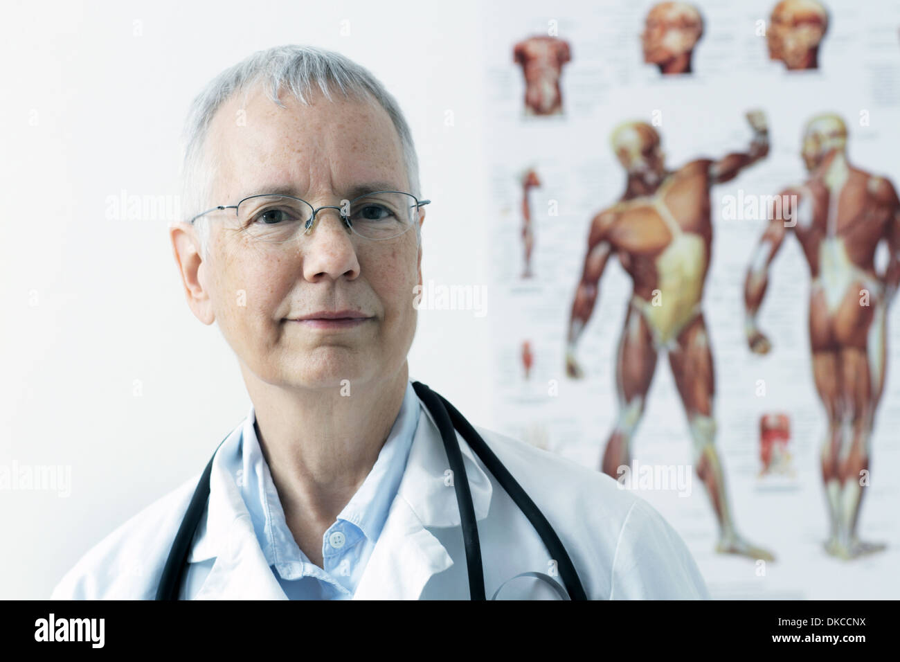 a woman doc with a human muscle person poster in the background, Stock Photo
