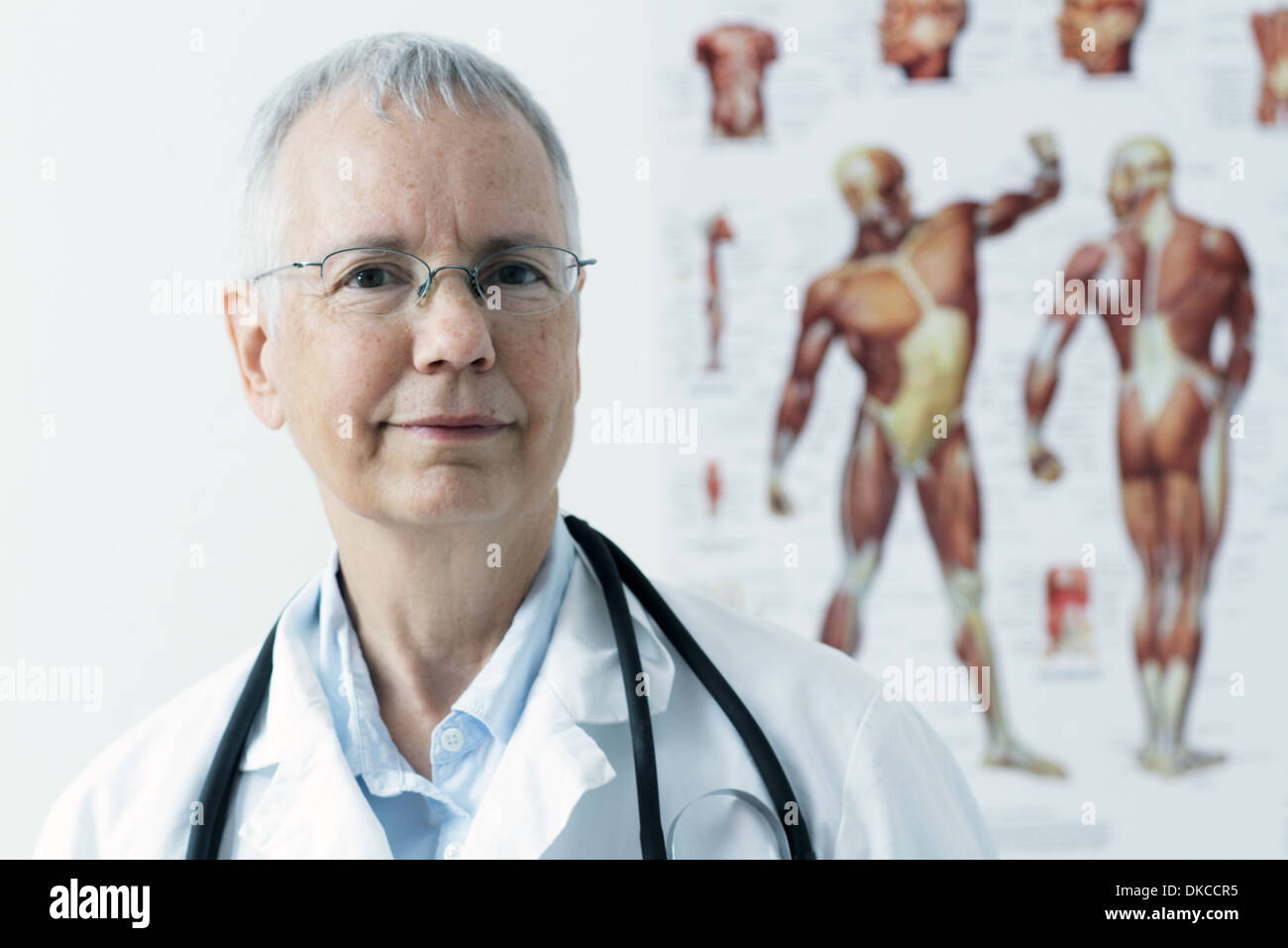 a woman doc with a human muscle person poster in the background, Stock Photo