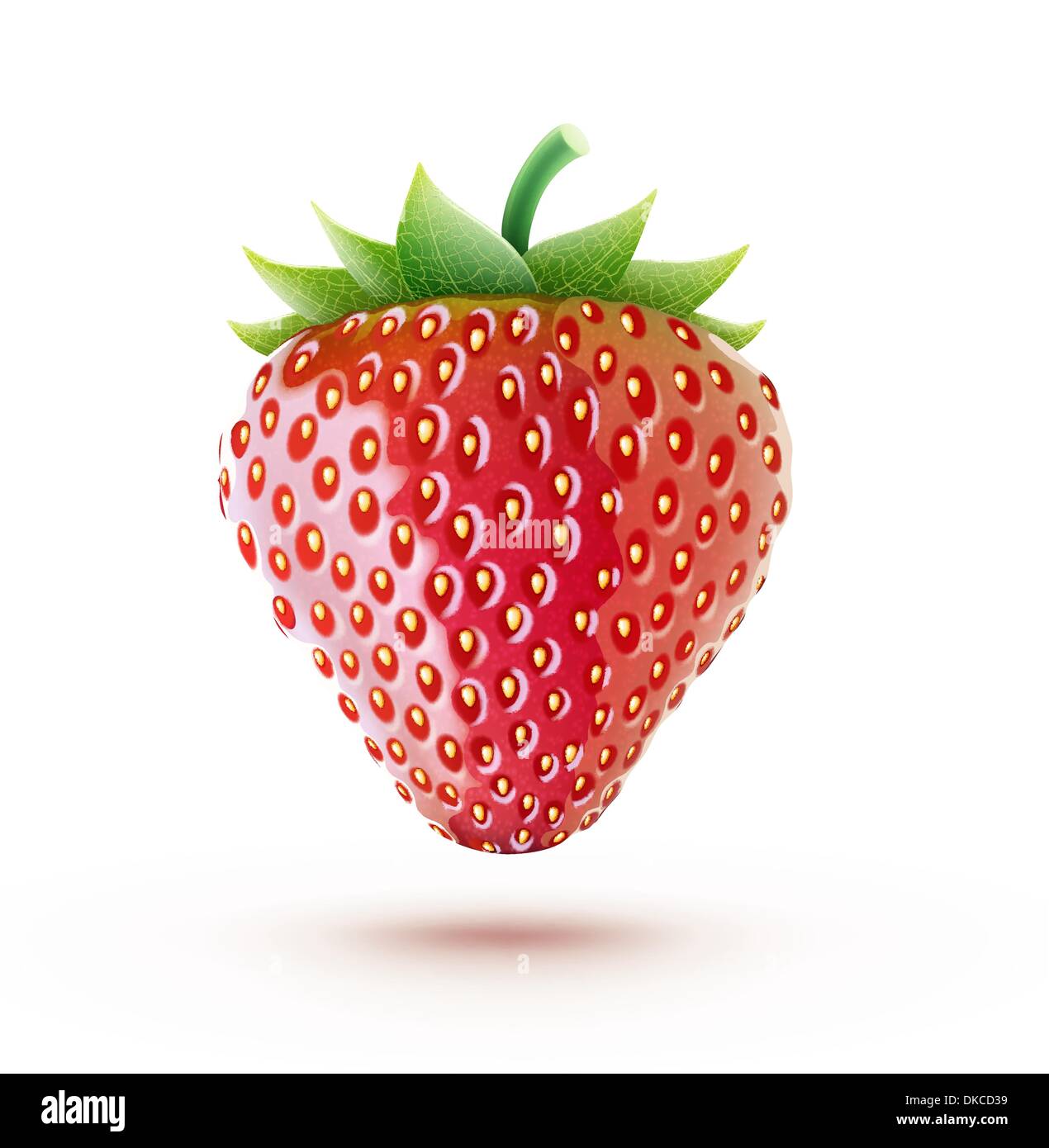 Vector illustration of a beautiful ripe red fresh strawberry isolated ...