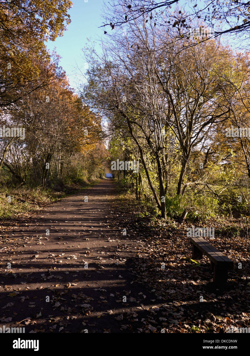 Wheelock Rail Trail is a disused railway line now public footpath and part of national cycle network in Sandbach Cheshire UK Stock Photo
