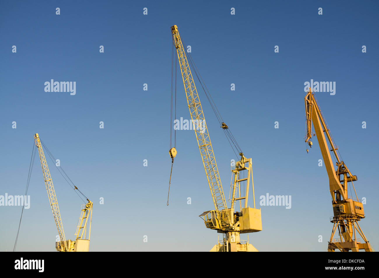 Yellow construction cranes in a row Stock Photo
