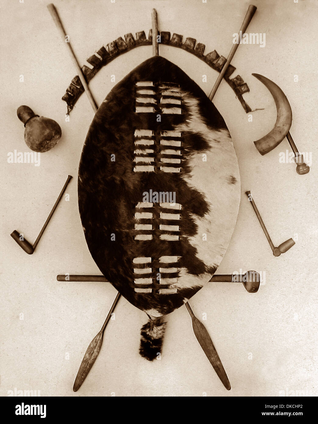 Africa Zulu trophy shield pre-1900 Stock Photo