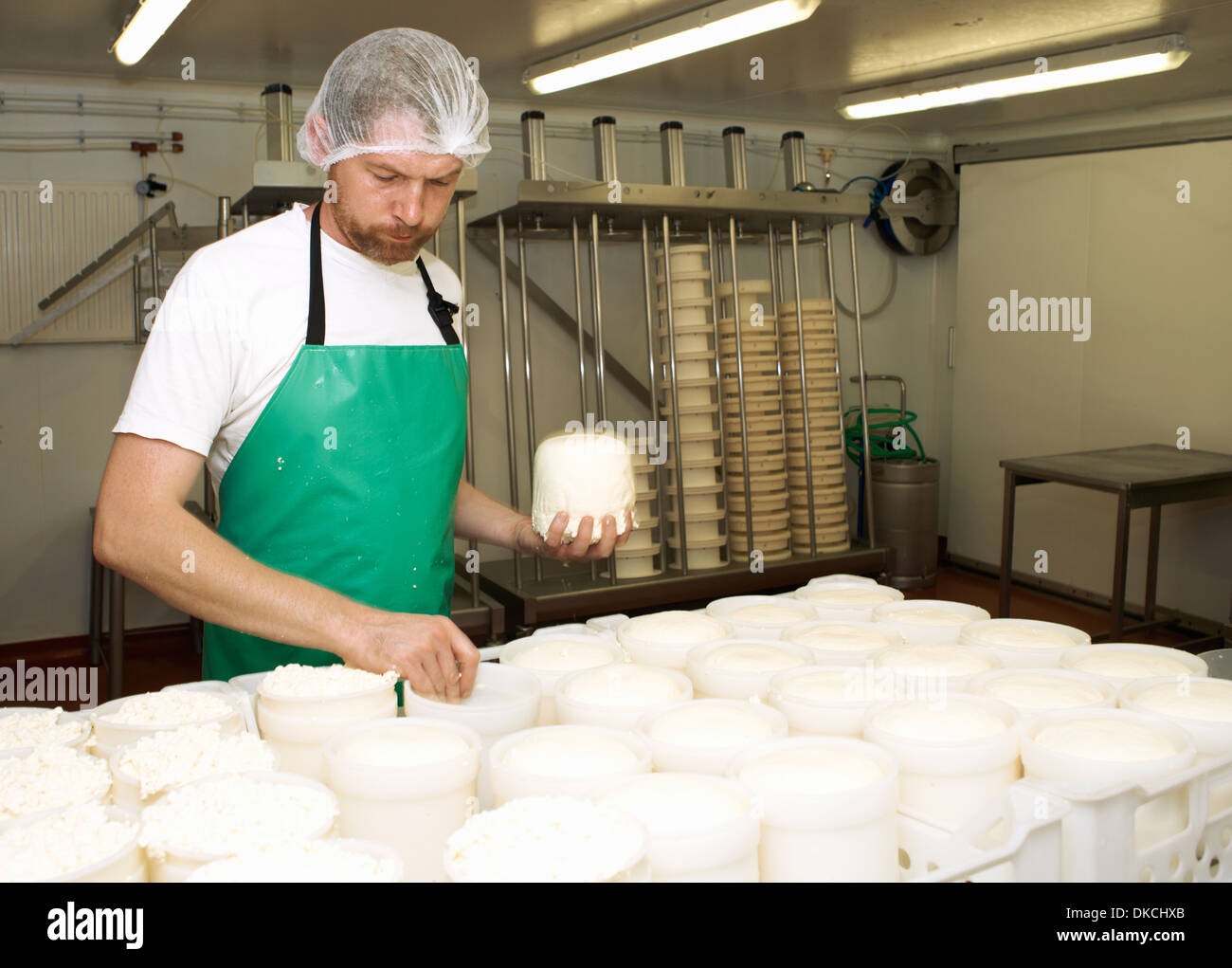 Cheesemaker holding moulded curds at farm factory Stock Photo - Alamy